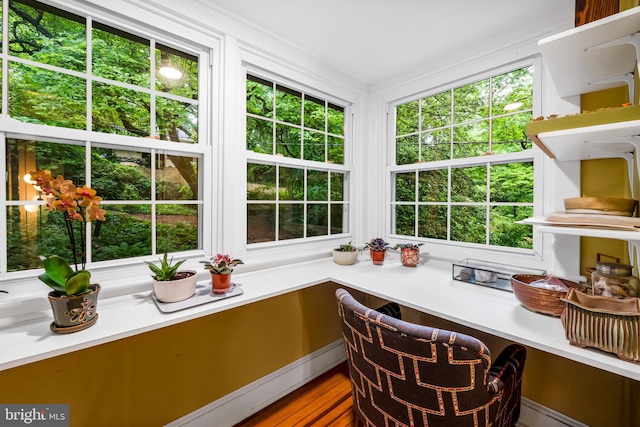 109 Deepdene Rd, Baltimore, MD 21210 - view of sunroom / solarium