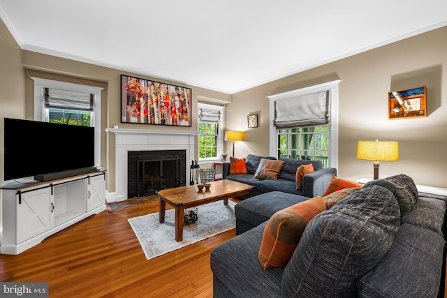 109 Deepdene Rd, Baltimore, MD 21210 - living room with wood finished floors, a fireplace with raised hearth, and crown molding
