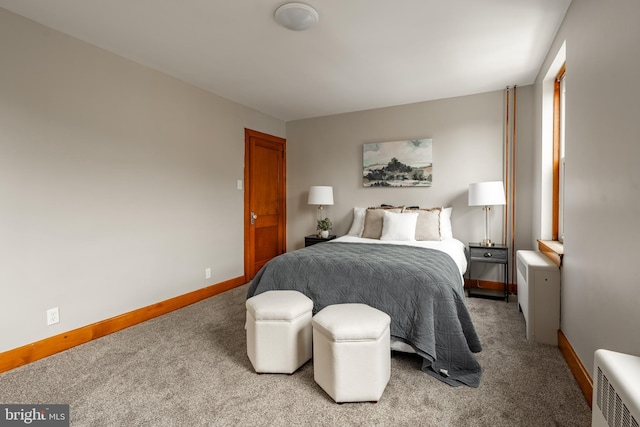 308 Cherry St, Columbia, PA 17512 - bedroom with carpet flooring and baseboards