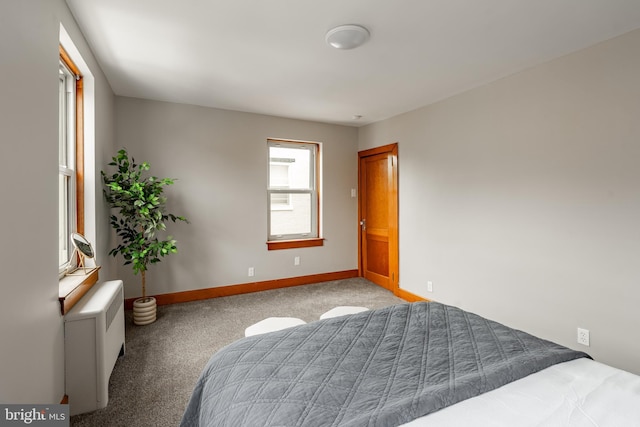 308 Cherry St, Columbia, PA 17512 - bedroom featuring carpet and baseboards