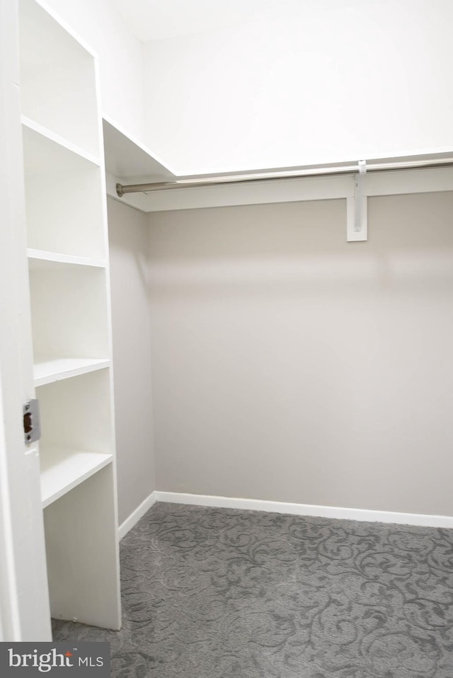 8514 Magnolia Dr, Lanham, MD 20706 - spacious closet with carpet flooring