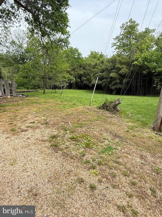 7421 Lake Dr, Manassas, VA 20111 - view of grassy yard