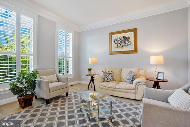 42743 Macauley Pl, Ashburn, VA 20148 - living area featuring crown molding, carpet floors, and baseboards