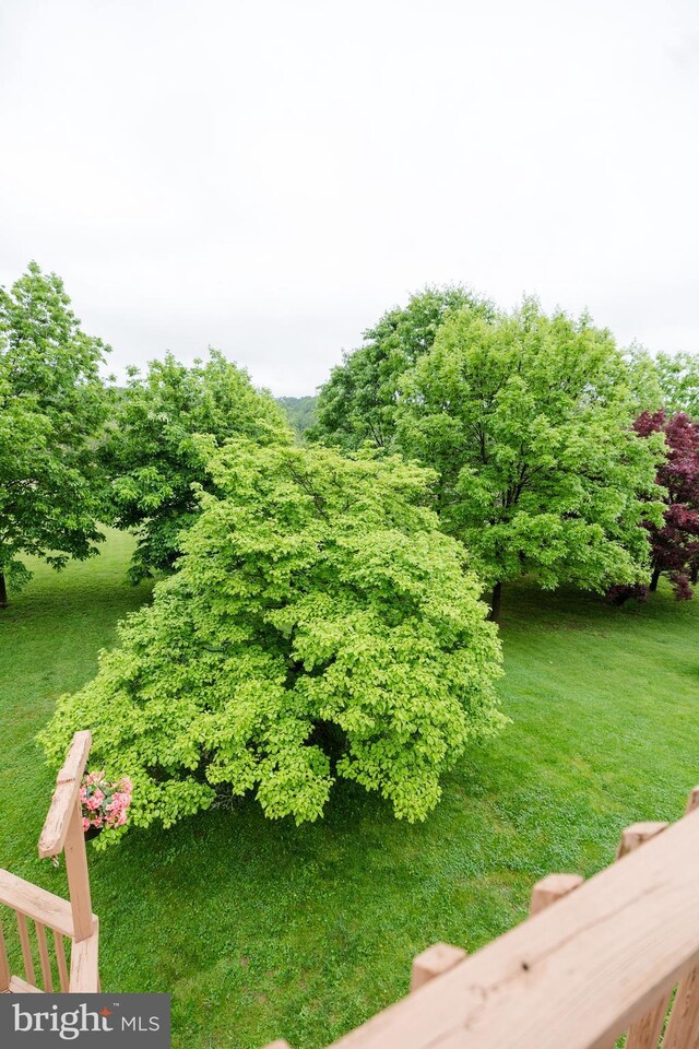 4308 Joshua Court, St, MD 21154 - view of yard