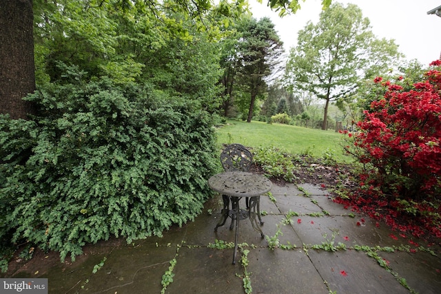 4308 Joshua Court, St, MD 21154 - view of patio / terrace