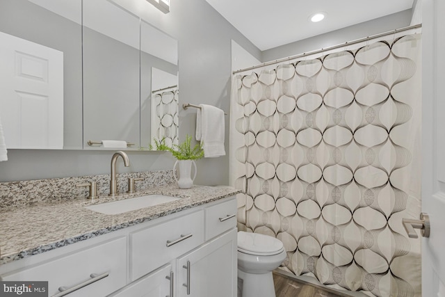 402 Bay View Dr, Edgewater, MD 21037 - bathroom with toilet, wood finished floors, vanity, and a shower with shower curtain