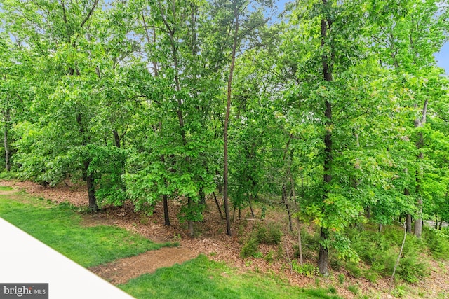 120 Bayhill Ter, Lake Frederick, VA 22630 - view of yard