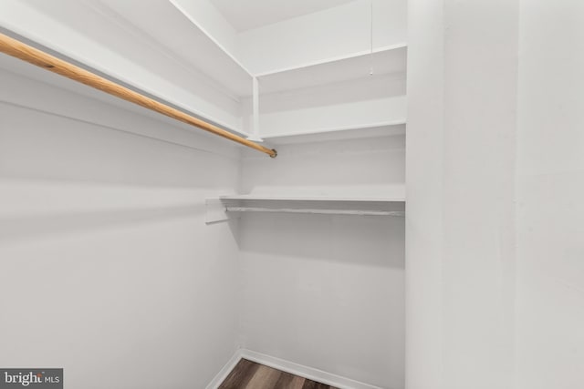 9048 Bonham Cir, Manassas, VA 20110 - walk in closet featuring dark wood finished floors