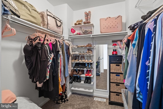 106 Hedgerow Ct, Deptford, NJ 08096 - walk in closet featuring carpet flooring