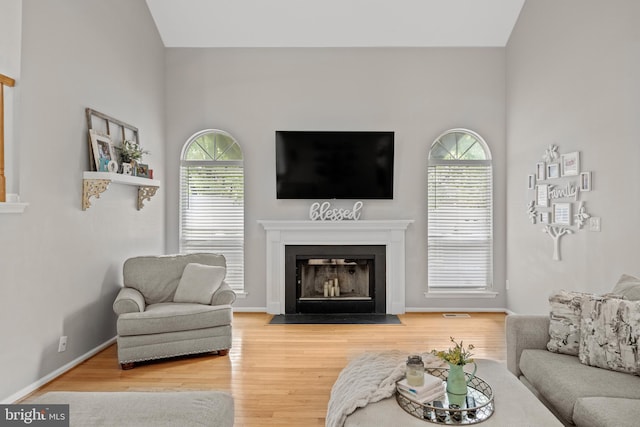 106 Hedgerow Ct, Deptford, NJ 08096 - living room with wood finished floors, a fireplace with flush hearth, baseboards, and high vaulted ceiling