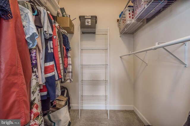 3334 Castle Ridge Cir Unit 8, Silver Spring, MD 20904 - walk in closet featuring carpet floors