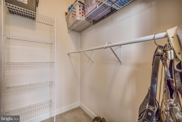 3334 Castle Ridge Cir Unit 8, Silver Spring, MD 20904 - spacious closet with carpet