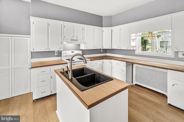 201 E Main St, Fairfield, PA 17320 - kitchen with wood counters, radiator heating unit, under cabinet range hood, a sink, and white electric range oven