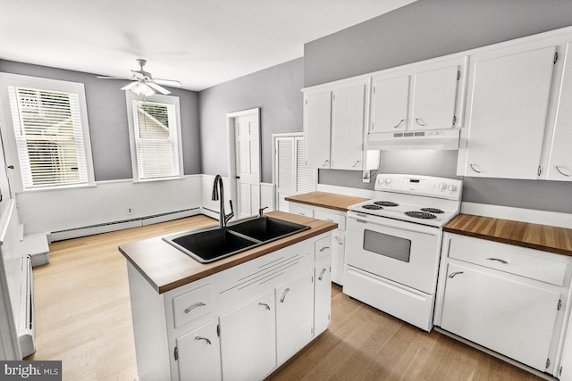 201 E Main St, Fairfield, PA 17320 - kitchen featuring electric stove, wood counters, range hood, a sink, and a baseboard radiator