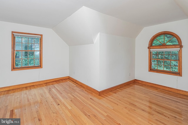 6 Benedek Rd, Princeton, NJ 08540 - bonus room with lofted ceiling, wood-type flooring, and plenty of natural light