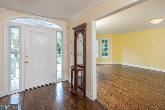 6 Benedek Rd, Princeton, NJ 08540 - foyer entrance with dark wood-style flooring and ornamental molding