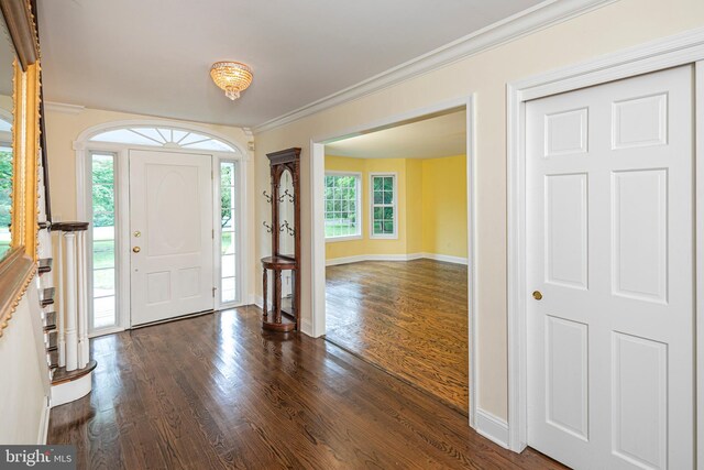 6 Benedek Rd, Princeton, NJ 08540 - entrance foyer with crown molding and dark wood-type flooring