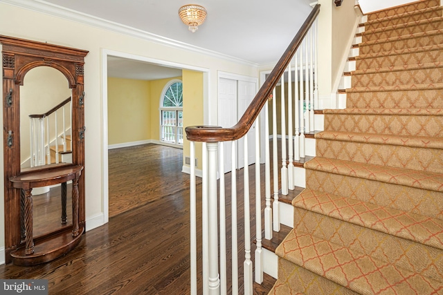 6 Benedek Rd, Princeton, NJ 08540 - stairway featuring wood finished floors and ornamental molding