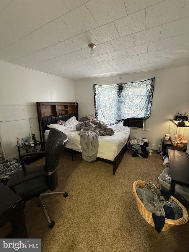 126 Birch St, Shamokin, PA 17872 - bedroom with carpet