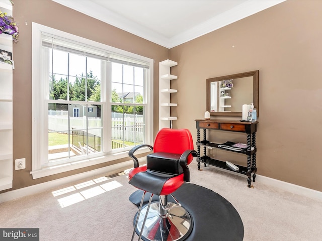 106 Bedrock Dr, Walkersville, MD 21793 - living area with carpet, crown molding, and baseboards