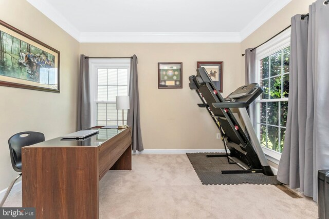 106 Bedrock Dr, Walkersville, MD 21793 - workout area with carpet, crown molding, and baseboards