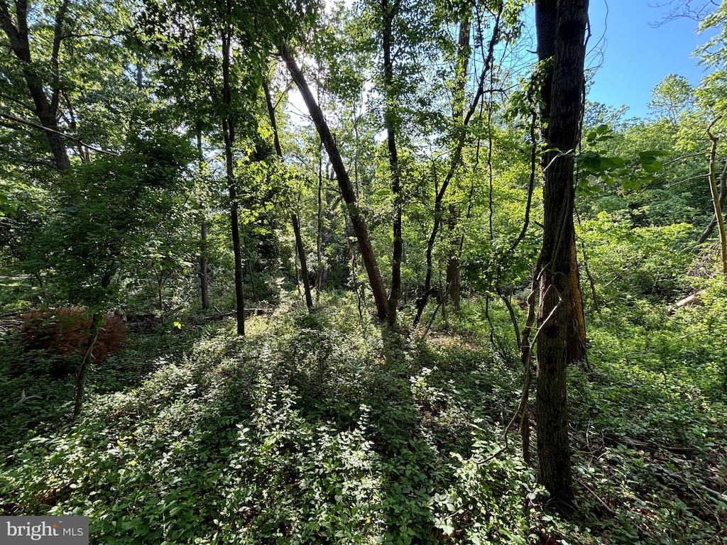 O Howellsville Rd, Boyce, VA 22620