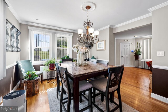 806 S Beechfield Ave, Baltimore, MD 21229 - dining room featuring radiator, crown molding, light wood-type flooring, a chandelier, and baseboards