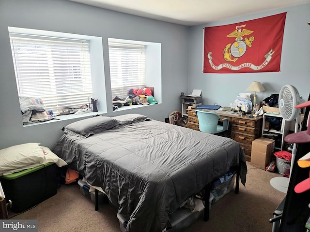 290 Hilltop Ln, Annapolis, MD 21403 - view of carpeted bedroom