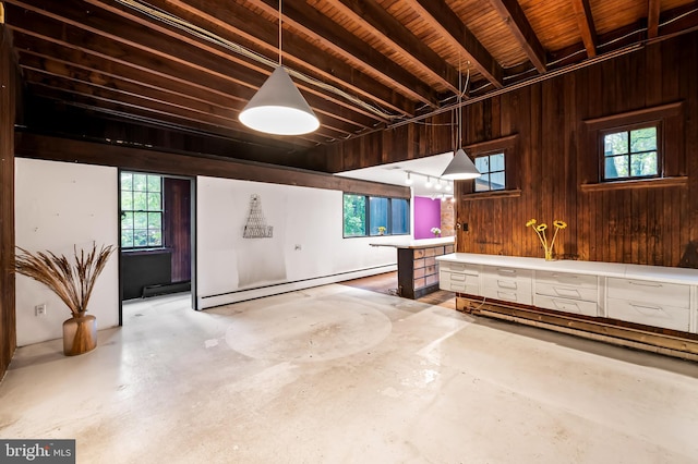 below grade area with baseboard heating and wood walls