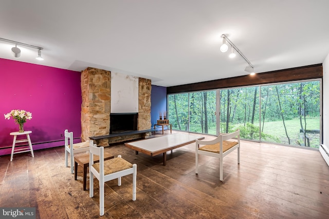living room with rail lighting, hardwood / wood-style flooring, a stone fireplace, and baseboard heating