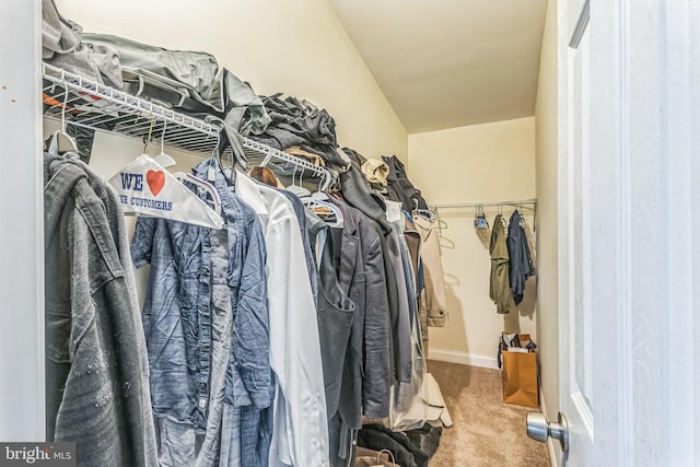 walk in closet featuring carpet
