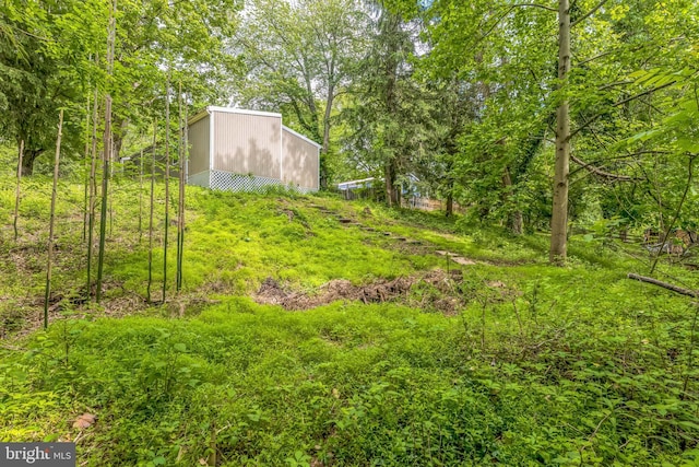 view of yard featuring an outdoor structure