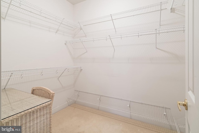 4 Augusta Dr, Little Egg Harbor Twp, NJ 08087 - spacious closet featuring carpet