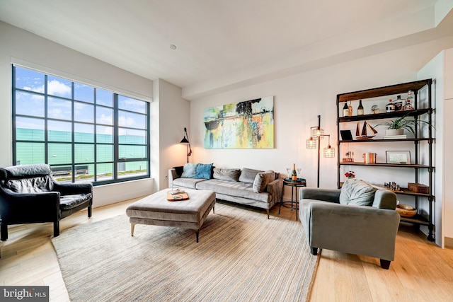 45 Sutton Sq SW Unit Ph11, Washington, DC 20024 - living area with light wood-style floors