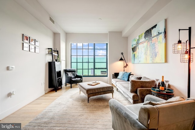45 Sutton Sq SW Unit Ph11, Washington, DC 20024 - living area with light wood-style floors and baseboards
