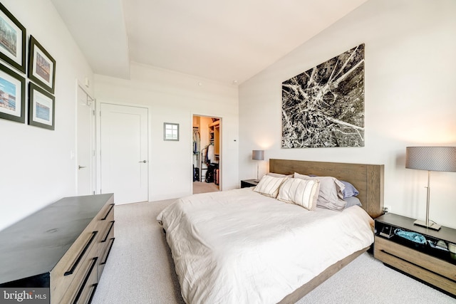 45 Sutton Sq SW Unit Ph11, Washington, DC 20024 - carpeted bedroom with a walk in closet and a closet