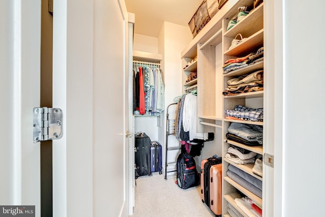 45 Sutton Sq SW Unit Ph11, Washington, DC 20024 - spacious closet with carpet floors