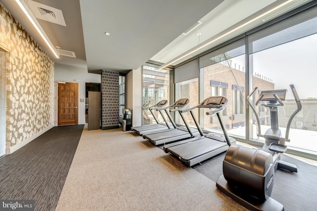 45 Sutton Sq SW Unit Ph11, Washington, DC 20024 - workout area featuring carpet and baseboards