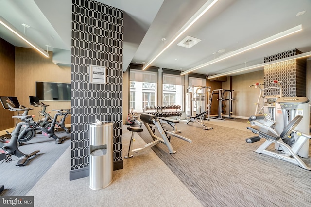 45 Sutton Sq SW Unit Ph11, Washington, DC 20024 - exercise room featuring carpet floors