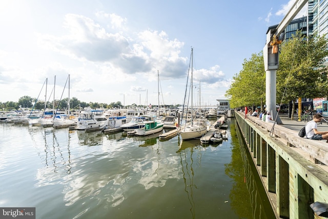 45 Sutton Sq SW Unit Ph11, Washington, DC 20024 - dock area with a water view and view of marina