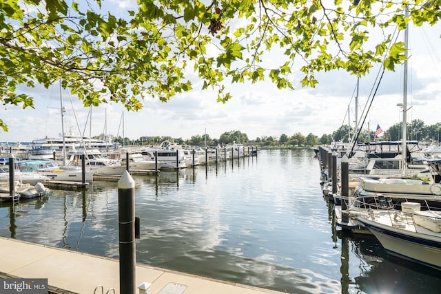 45 Sutton Sq SW Unit Ph11, Washington, DC 20024 - dock area with a water view and view of marina