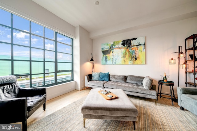 45 Sutton Sq SW Unit Ph11, Washington, DC 20024 - living area featuring wood finished floors and baseboards