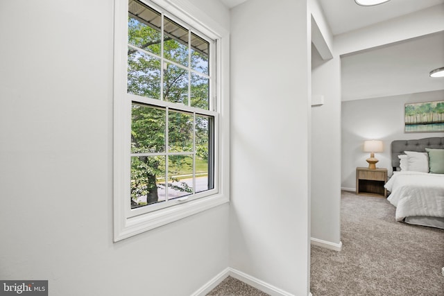 18165 Metz Dr, Germantown, MD 20874 - bedroom with carpet flooring and baseboards