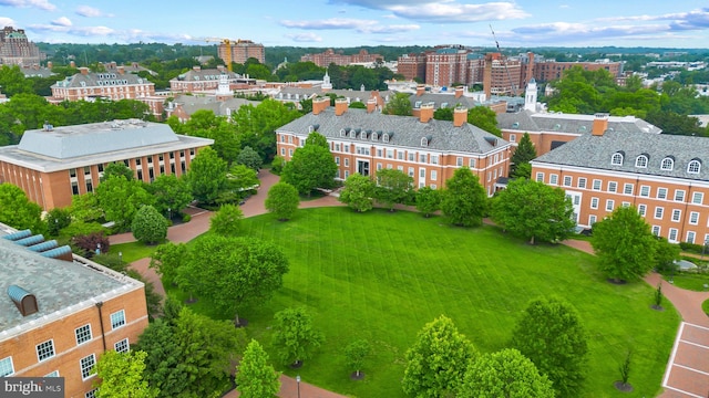bird's eye view