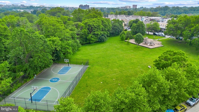 bird's eye view