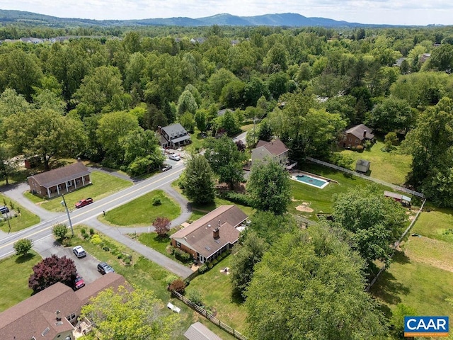 drone / aerial view of a forest