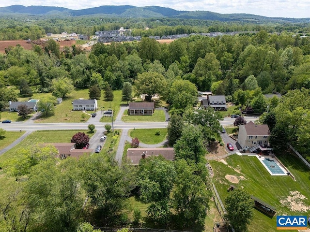 aerial view of a forest and a mountainous background