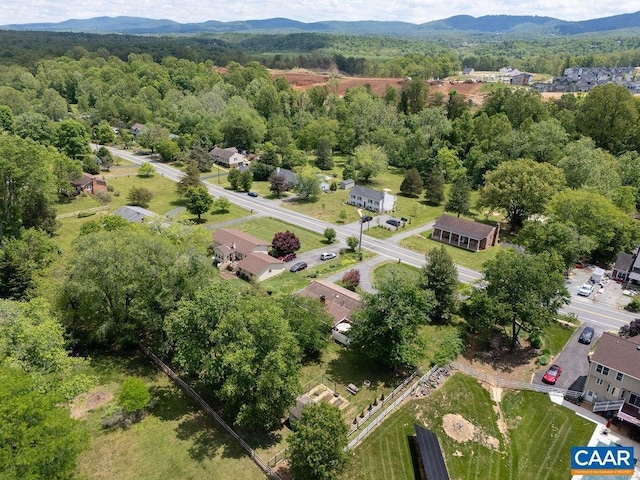 drone / aerial view of a forest and a mountain backdrop