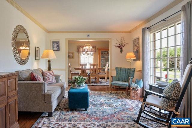 living room featuring dark wood-type flooring, a chandelier, and ornamental molding