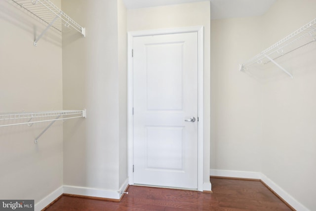 spacious closet featuring wood finished floors